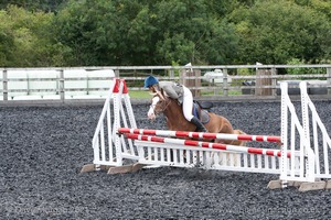 Class 7 - Fences 3' to 3'3